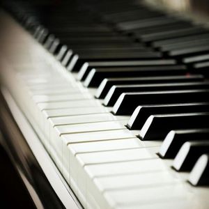 天天日天天干天天射
