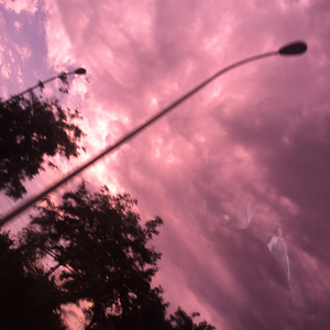 天天日天天干天天射
